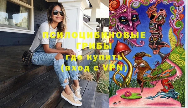 мяу мяу мука Беломорск